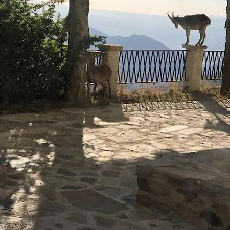 Excepcional Cosy Apartment Sierra Nevada