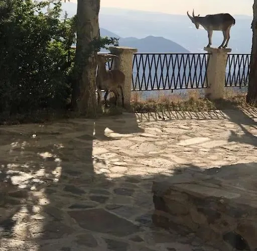 Excepcional Cosy アパート シエラネバダ